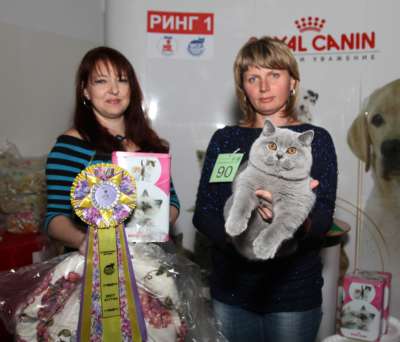 �������� ����� '������� ���-�����' 30 ������-1 ������� 2013� 90_best2_kitten_IMG_4557 copy.jpg